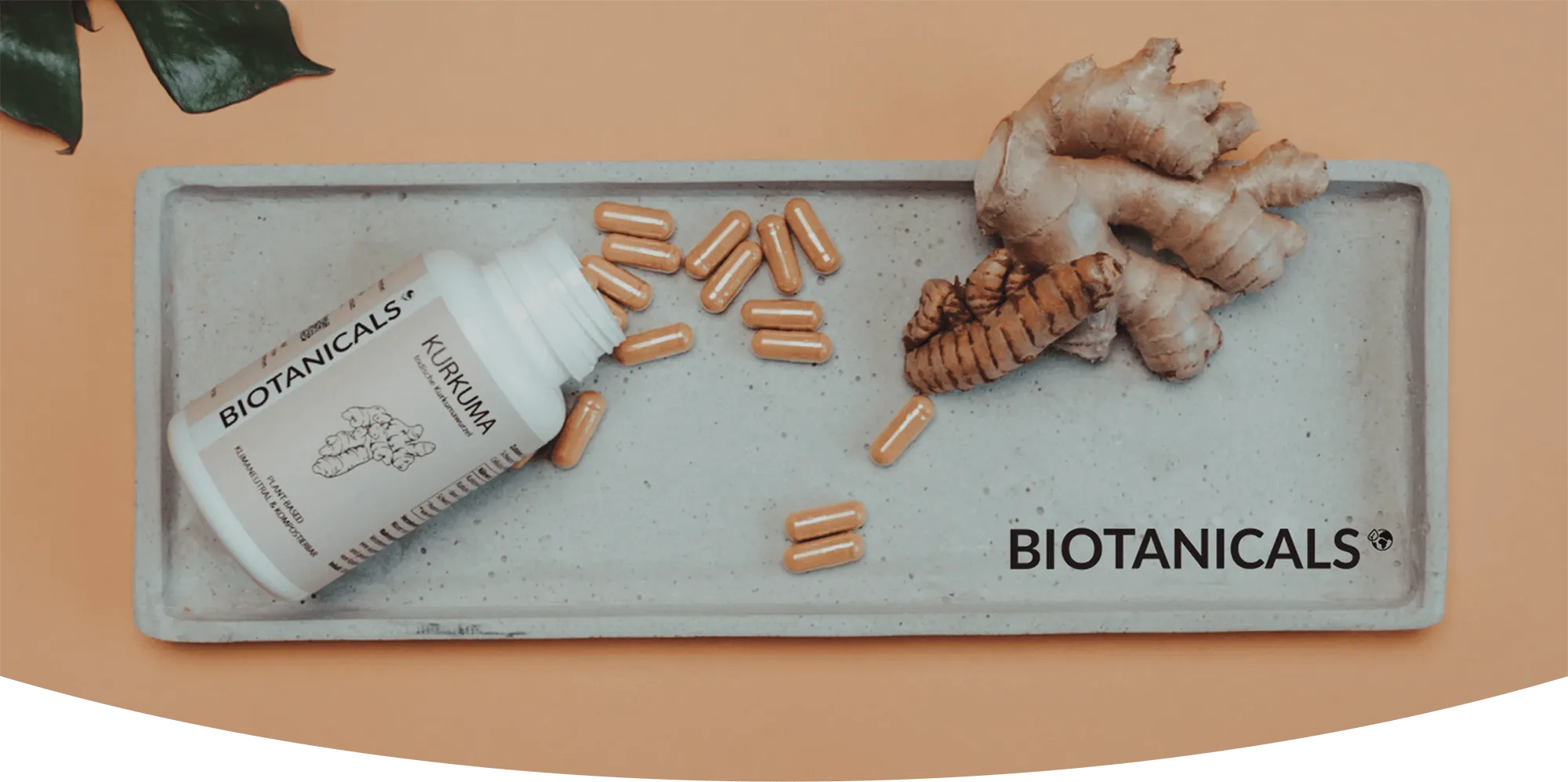 Banner Biotanicals